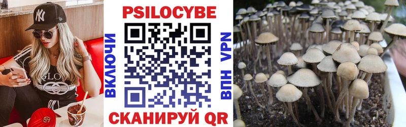 Купить закладки  Инза  Псилоцибиновые грибы ЛСД 